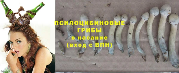 ГАЛЛЮЦИНОГЕННЫЕ ГРИБЫ Алексин