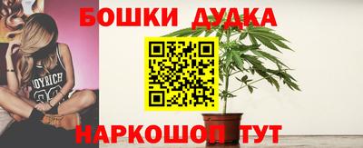 прущие грибы Ирбит