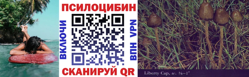 OMG ссылка  Нефтекумск  Псилоцибиновые грибы Psilocybe 