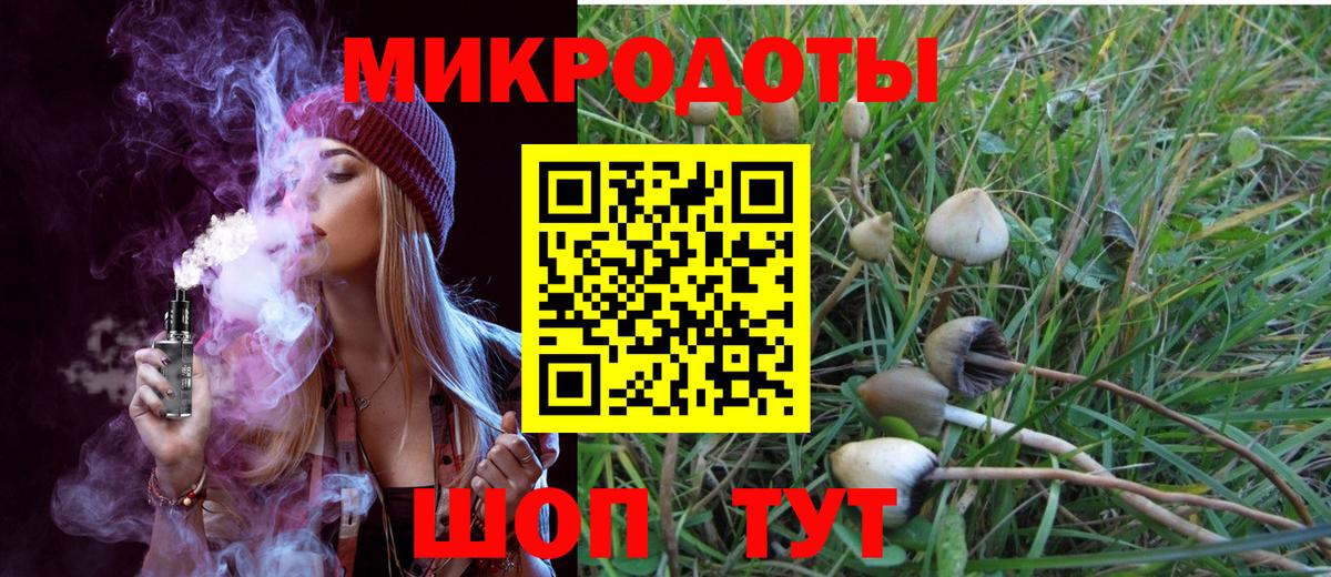 Псилоцибиновые грибы ЛСД  Вход с VPN  Псилоцибиновые грибы прущие грибы  Нефтекумск 